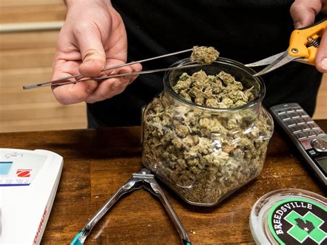 The 10 Best Marijuana Dispensaries in Portland, Oregon.